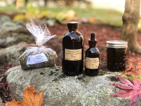 Delve into the Ancient Arts with Witching Botanical Tincture Making